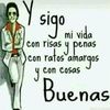 elvergonzoso60