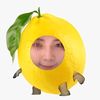nannan6550