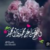 user8305015687277