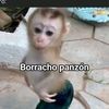 jose.andres.soto28