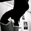 iris_xo33