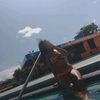 nicoldelosange557