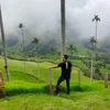 towerantony2
