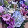 flowerbudsbloom