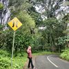 erna.fariha