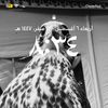 yaqoubkw