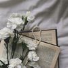 book._011