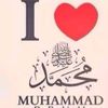 habib.malik00