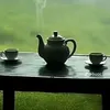 tiktok.commongnhansinh