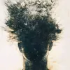 ______mad2