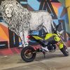 karterlamb05