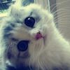 kepoo_1122