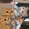 zubair.abbasi258