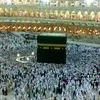 user31076523072337