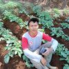 darull266