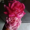 user45072270330610