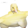 quacker_is_a_duck