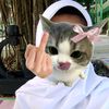 usernametikaaywii