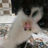 rifqyii333