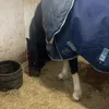 dd223343