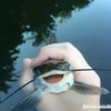 fisherpro33