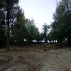 repost_454
