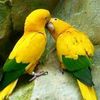 user817610682824qq