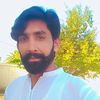 shah.je8268