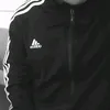 Ferreira