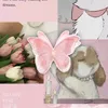 luisa_3111