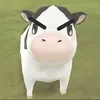 muadongotokyo