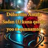 robaa9667