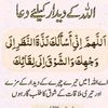 syeda.alma.ayesha