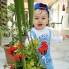 abbes.mofadel