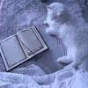 princessgimal.com