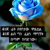 ashnafe69
