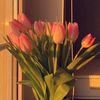 yousra.01