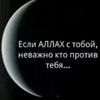 user7129575660654
