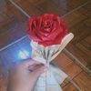 nielys.casanova86