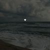 butterfly_123123123