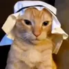 revientaabuelitas0