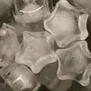 ice_supp.p0