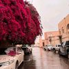 basma78070
