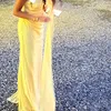 mayes_amrz