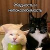 unknown_unknown637