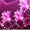 user542801620