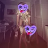 islaxrudysvsnx