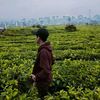 ridwan..nurdin205