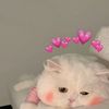 big_oma01