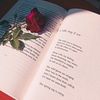 moondiary5